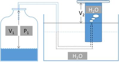 Combination of Trace Metal to Improve Solventogenesis of Clostridium carboxidivorans P7 in Syngas Fermentation